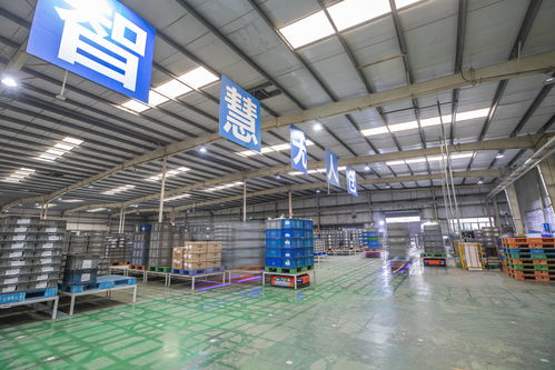 重慶 以智能化驅(qū)動(dòng)轉(zhuǎn)型升級(jí)，汽車(chē)零配件批發(fā)行業(yè)質(zhì)效雙提升